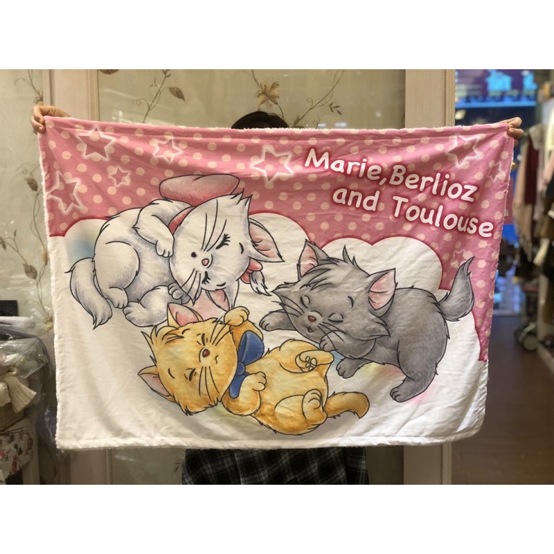 日本迪士尼商店瑪麗貓小飛象小熊維尼毯毯