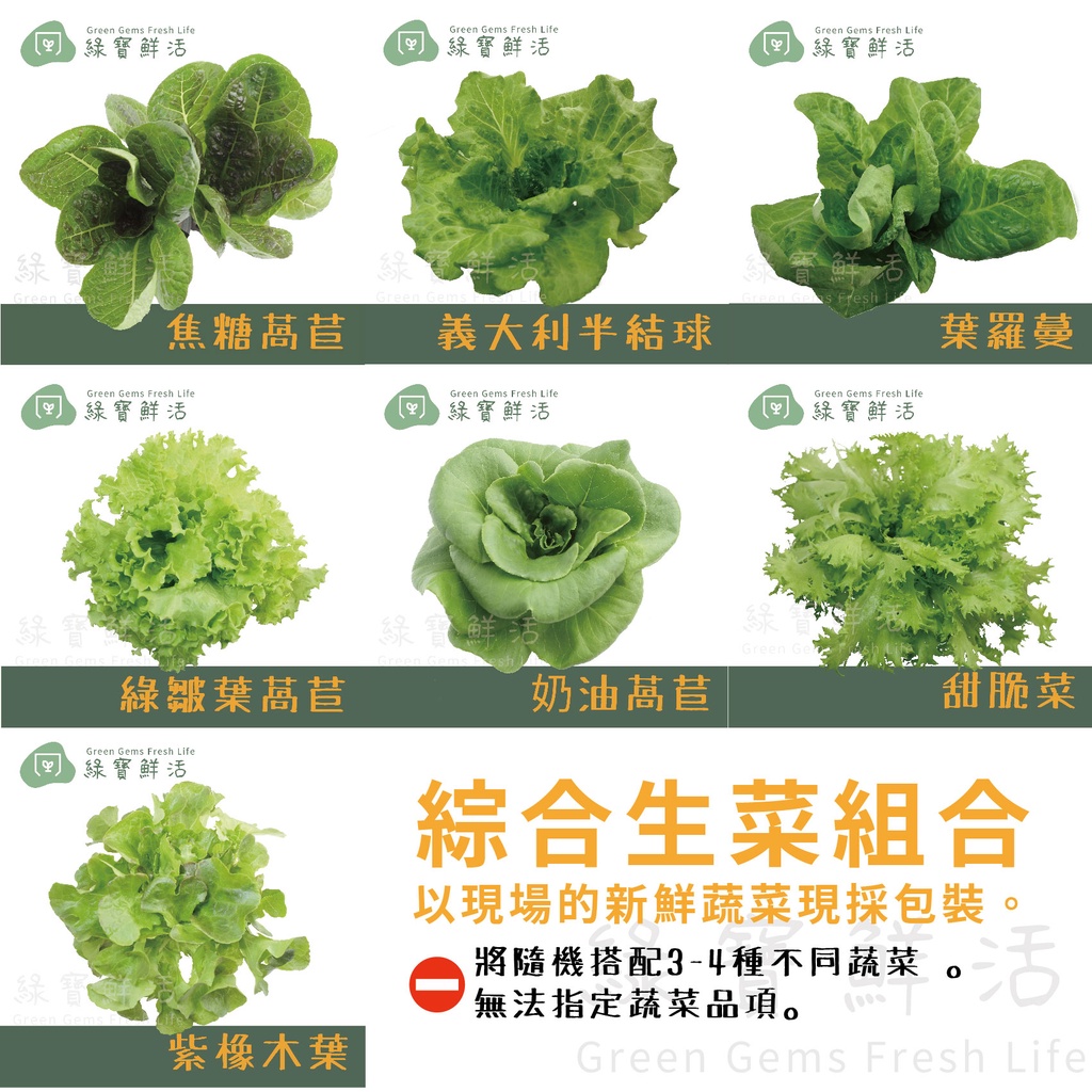 綠寶鮮活無塵水耕蔬菜 綜合生菜蔬菜 250 10g 下單前請先詢問是否有現貨 蝦皮購物