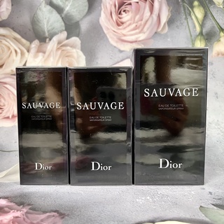 Dior 迪奧 曠野之心 男性淡香精 淡香水 30 60 100ML Parfum 香精 淬鍊香精 體香膏『WNP』