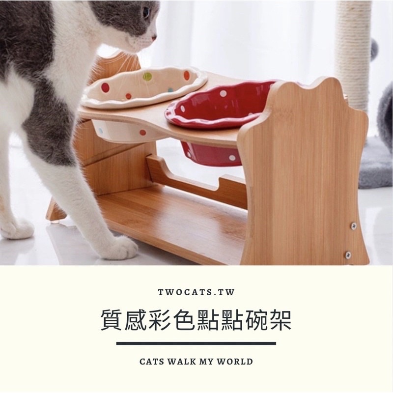 【TWOCATS.TW】台灣現貨快速出貨✨彩色點點木架碗✨寵物碗 普普風 陶瓷碗 木架碗 雙層碗 貓咪用品 寵物碗
