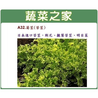 蔬菜之家滿額免運【00A32】大包裝菊苣種子25克(日本進口苦苣)