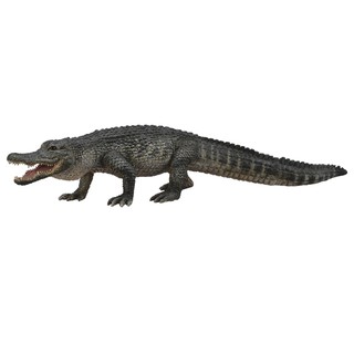 「芃芃玩具」COLLECTA 動物模型 美國短吻鱷 仿真 教材 教學 貨號88609