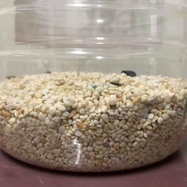 二手 水族用碎石 魚缸底砂
