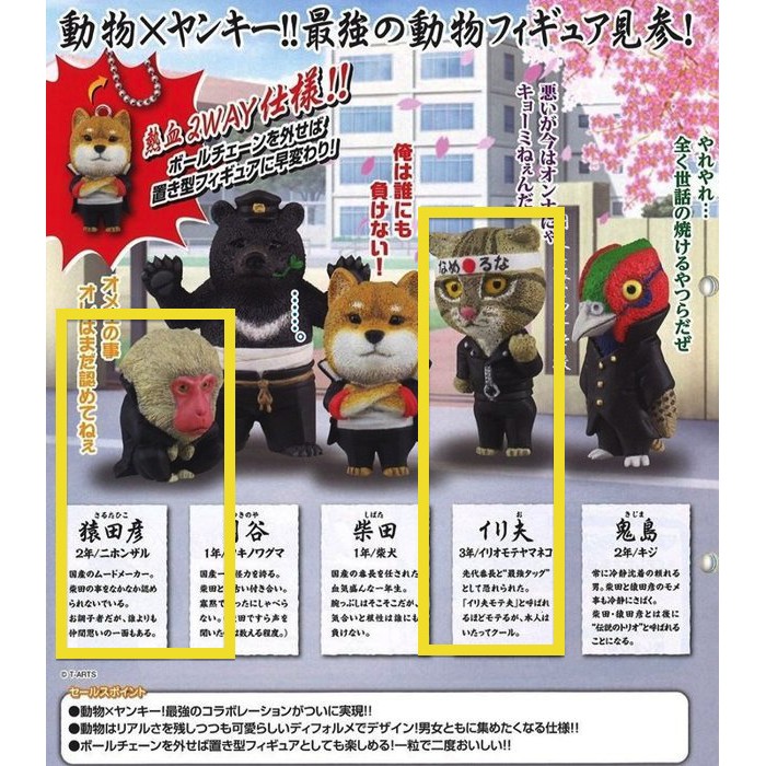 東京最強不良高校