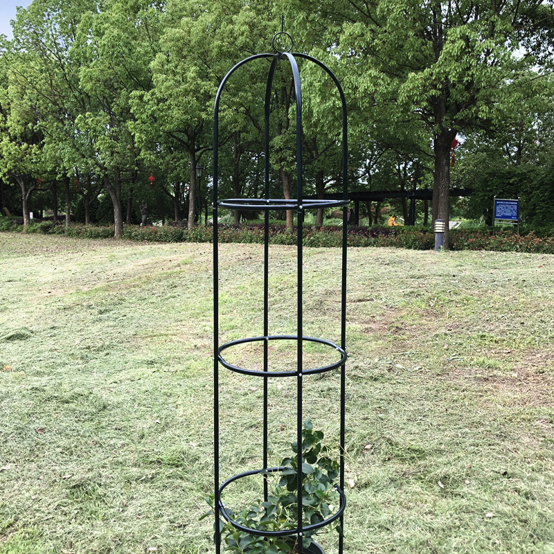 鐵藝玫瑰月季花柱架鐵線蓮爬藤架攀藤植物架子花盆支架桿鳥籠戶外 蝦皮購物