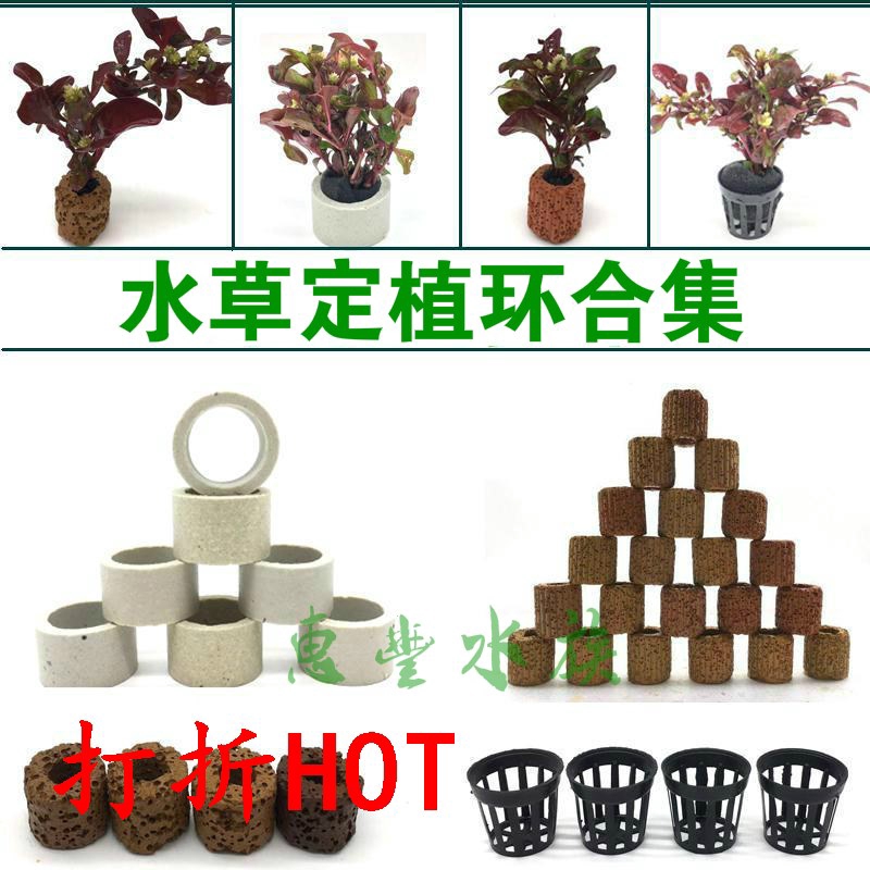 新品 陶瓷水草定植環魚缸造景定植種植環盆籃杯固定環弱酸過濾培菌濾材 L421 蝦皮購物
