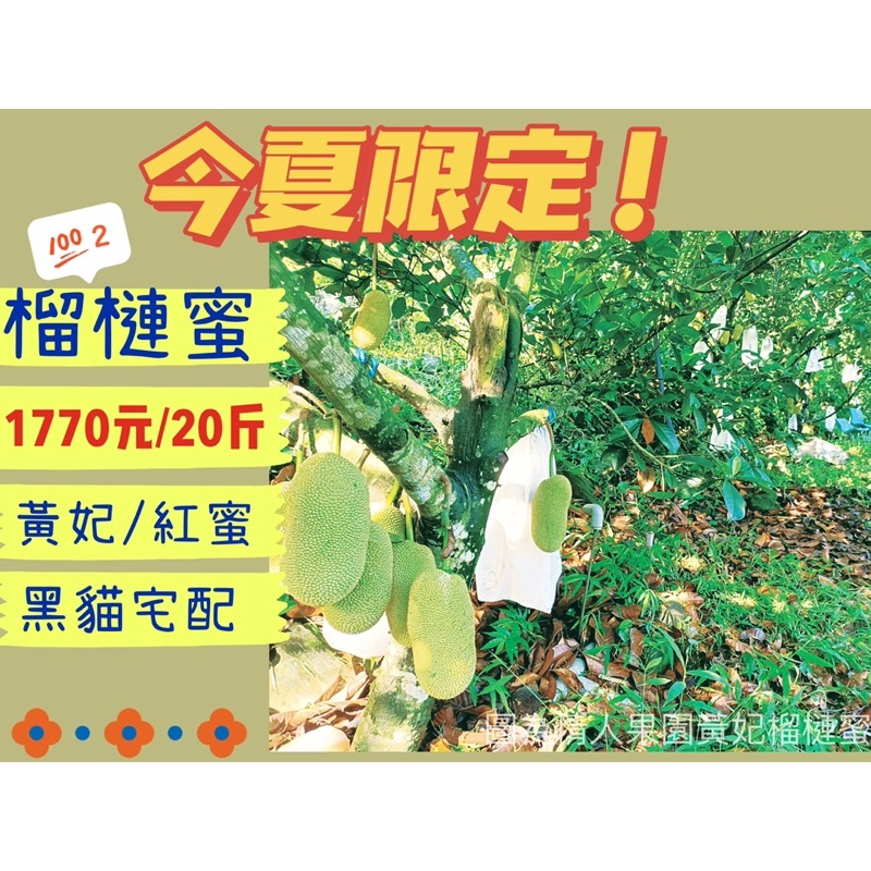 榴槤蜜 黃妃 紅蜜 情人果園