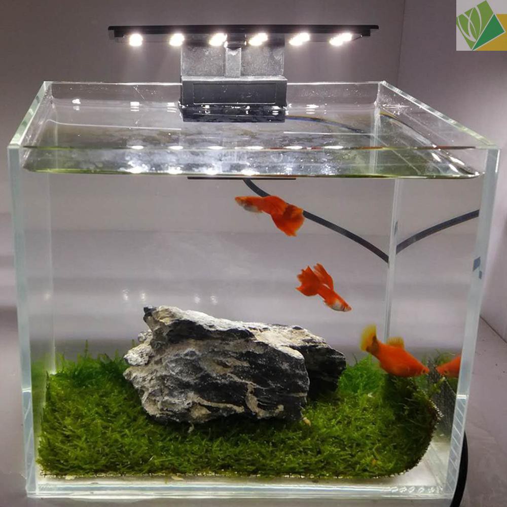 超薄高亮led魚缸夾燈水族照明燈水草燈x3迷你款小歐規 蝦皮購物