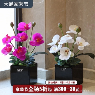 【家具裝飾擺件】wo+高仿真PU蝴蝶蘭花藝套裝 現代簡約桌面花會議裝飾花帶陶瓷花盆