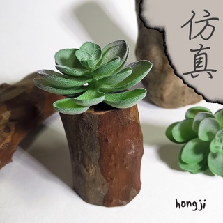 多肉 模擬多肉 微景觀 P86 假多肉植物 辦公室小物居家裝飾商店擺飾生日禮物拍照道具咖啡屋盆栽木頭底座