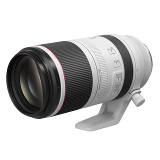 Canon RF 100-500mm F4.5-7.1 L IS USM 公司貨 贈UV保護鏡+專業清潔組