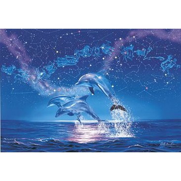 星座海豚 1000-152  台製1000片夜光拼圖
