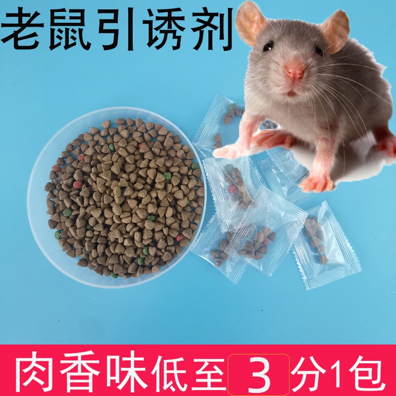 🔥現貨🔥老鼠誘餌引誘蟑螂屋鼠鼠板餌料引誘劑老鼠夾捕鼠籠濃肉香