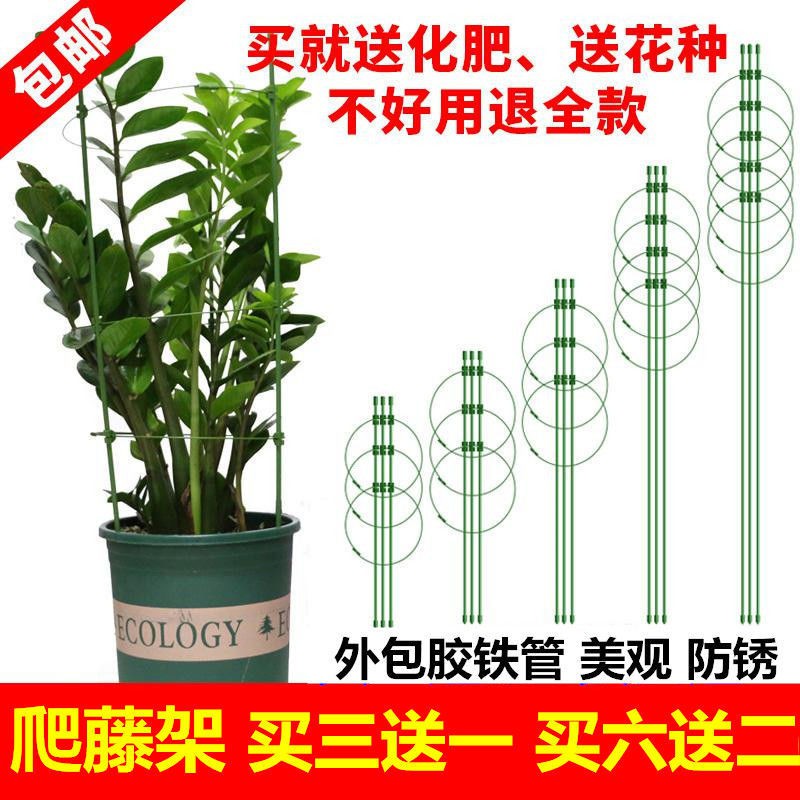 爬藤架花架園藝支架植物攀爬架鐵藝支柱室內外月季鐵線蓮花架包郵 蝦皮購物