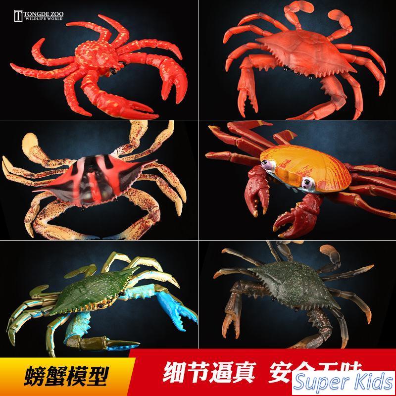 🌴Super Kids🌴台灣賣家🌴螃蟹模型 海洋動物玩具 兒童仿真海底生物模型 梭子蟹 紅花蟹 青蟹 早教玩具 益智