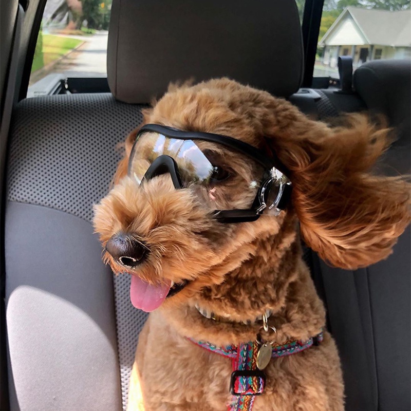 寵物狗護目鏡狗眼鏡防水防風防雪紫外線大狗眼鏡狗用品