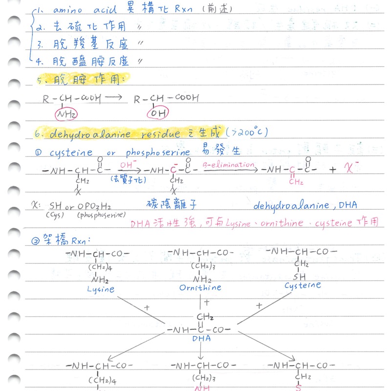 食品化學 食品微生物學 食品加工 食品工廠管理筆記 蝦皮購物