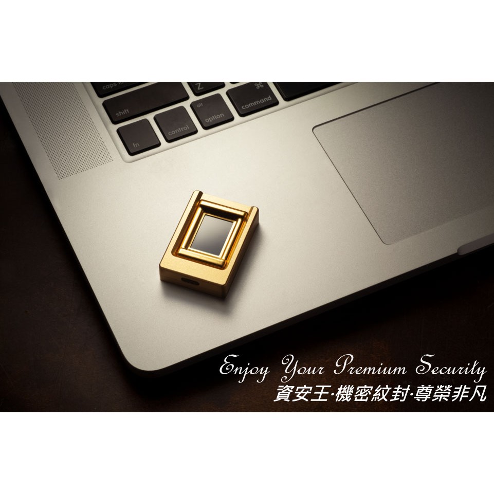 光绪戊戌孟冬 资治通鑑 卷一至卷十 周纪 威裂王 安王 烈王 显王 慎靓王 赧王 秦纪 昭襄王 孝文王 莊襄王 始皇帝 二世皇帝 汉纪 太祖高皇帝 序 王磐亭 丁日昌謹序 胡三省身之父书 胡克家书 孔夫子旧书网