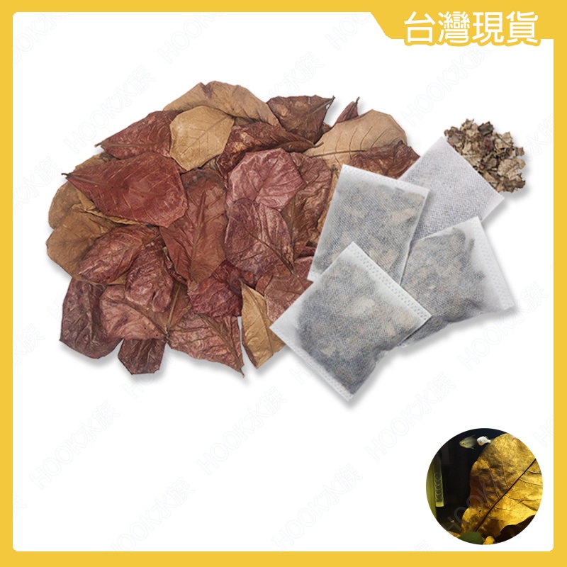 24H出貨🌟【Hook水族】精選欖仁葉茶包/大葉欖仁葉/大葉欖仁/大葉欖仁葉/大葉欖仁枯葉/水族大欖仁葉/鬥魚/欖仁葉