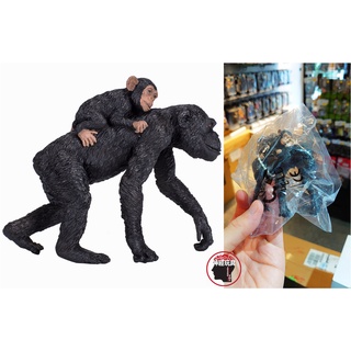 【神經玩具】現貨 收藏、兒童把玩兩相宜 Mojo Fun 模擬動物模型 黑猩猩 母子 不可動 公仔 387264