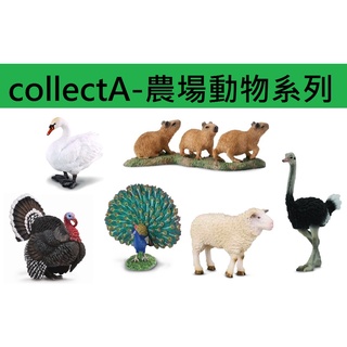 【玩具兄妹】現貨<開發票>collectA專區 綠頭鴨/天鵝/火雞/水豚/鴕鳥/綿羊/孔雀 英國高擬真模型 農場動物