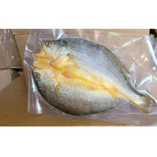 【水產系列】【真空包裝】【三去】黃魚一夜干 / 約210g / 尾