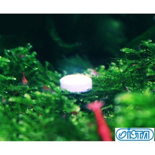 Ista水草co2錠 25錠 更方便使用 效果同co2鋼瓶 水族批發價 添加二氧化碳 水草 Beecost
