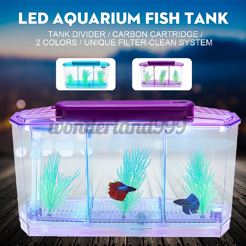 鬥魚水族 拍賣 評價與ptt熱推商品 21年4月 飛比價格