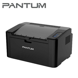 現貨 含稅 臺灣公司貨 全新 奔圖Pantum p2500 黑白雷射印表機