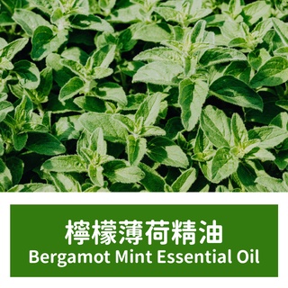 【馥靖精油】檸檬薄荷精油 Bergamot Mint Essential Oil