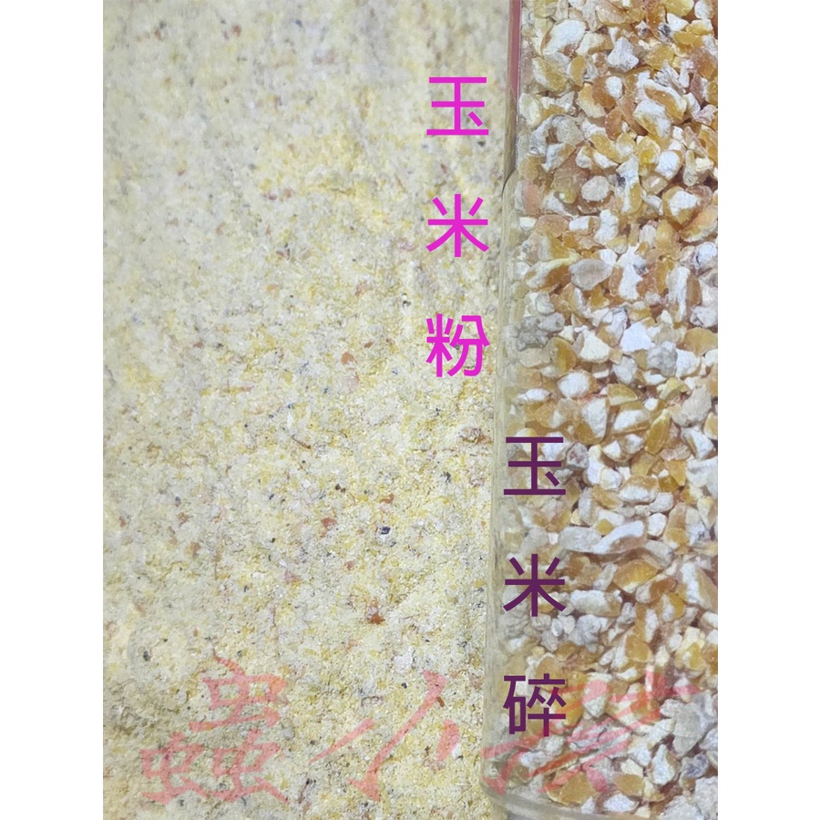 🌈蟲小孩🌈 碎玉米粒/玉米碎/玉米角/玉米粉（飼料用）｛現貨｝  600克/包