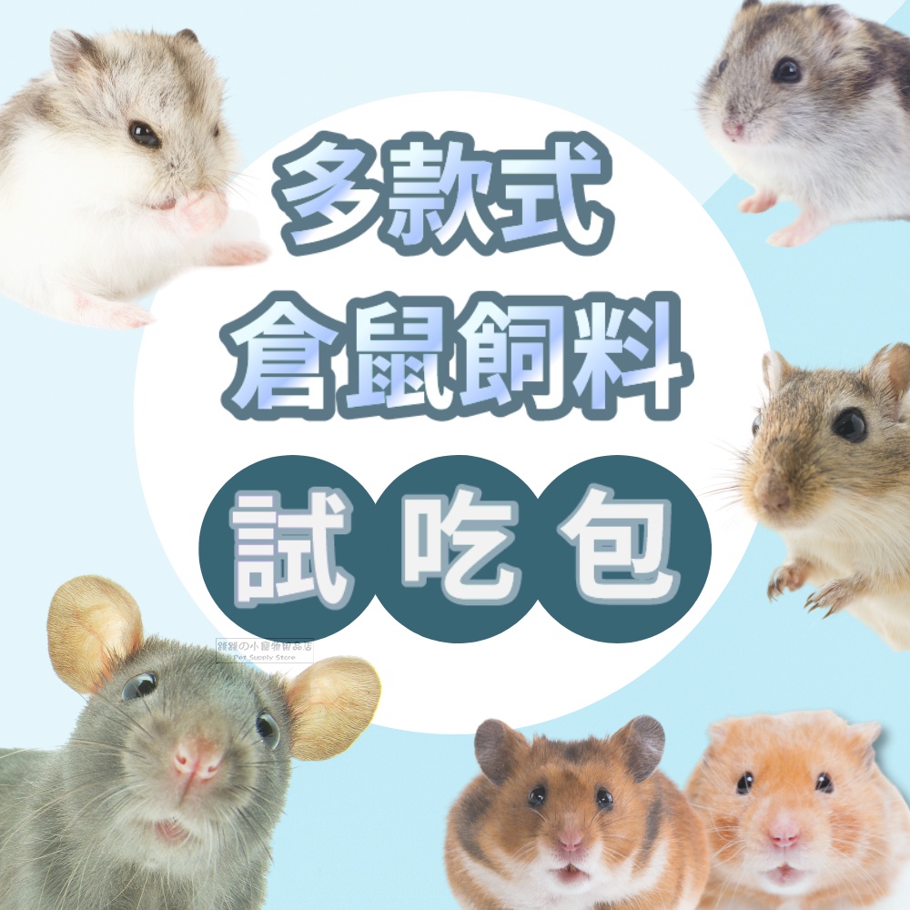 【現貨】《100g試吃包》鼠飼料 倉鼠飼料 倉鼠糧 倉鼠主食 全鼠類主食 蔬果主食 綜合均衡全鼠類主食 寵物鼠水果大餐