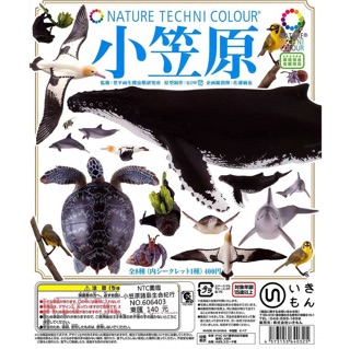 ［限貨］ NTC圖鑑 小笠原諸島生命紀行 海豚 狐蝠 海鷗 扭蛋 公仔 小笠原繡眼 綠繡眼