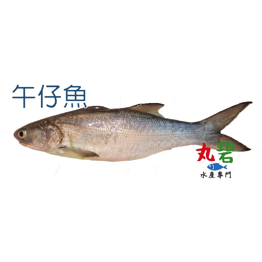 丸碧水產 午仔魚250g 入台灣海水養殖午仔 蝦皮購物