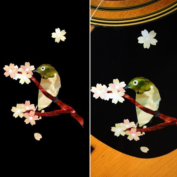 櫻花樹 翠鳥 綠繡眼 日本製 吉他 電吉他 貝斯 烏克麗麗 琴身 護板貼紙 車身 手機 裝飾貼 園之屋 現貨