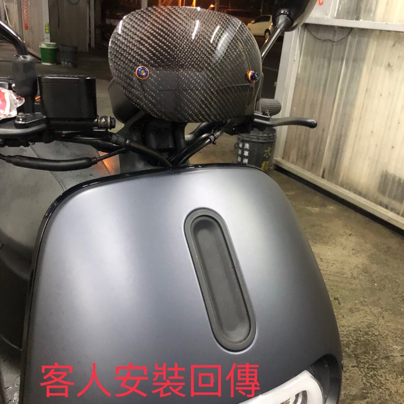 Gogoro S2 專用卡夢小風鏡