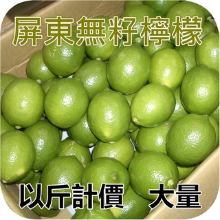 屏東檸檬-無子(無籽檸檬)-以斤計價/大量(8斤以上)