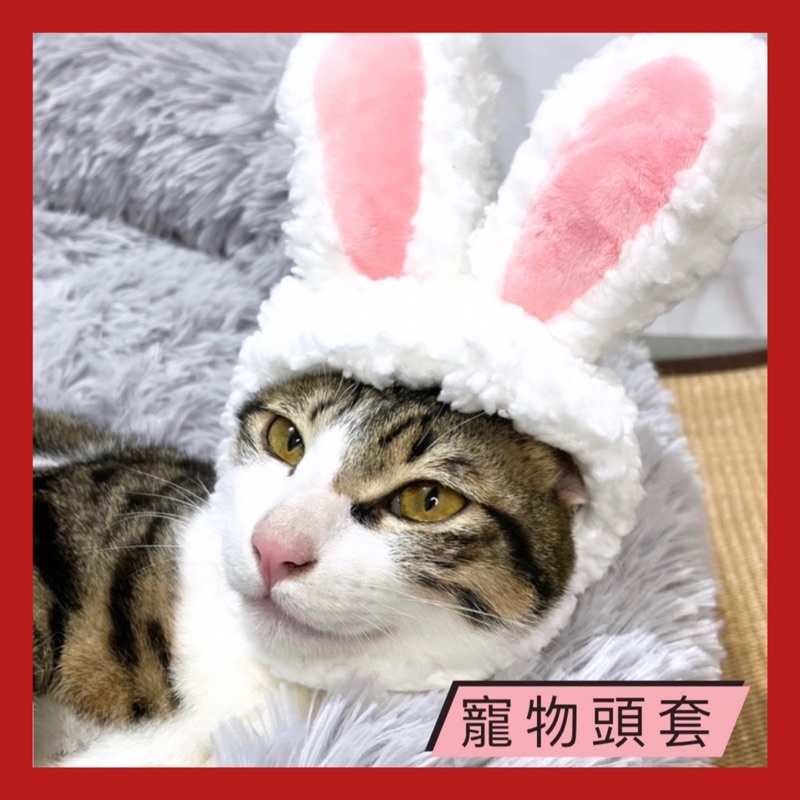 ❰🇹🇼禮焙咖啡 ❱貓頭套 兔耳朵頭套 寵物頭套 獅子頭套 寵物帽 可愛搞笑兔子獅子 兔耳朵 頭飾
