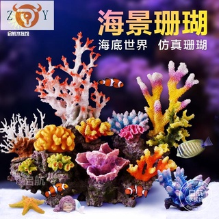 珊瑚礁 優惠推薦 22年8月 蝦皮購物台灣