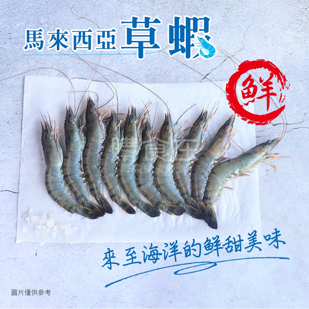 【購食在】馬來西亞活涷草蝦-10P/400g±10%/盒 超低溫急速冷凍