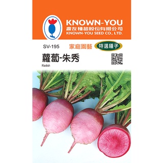 《農友種苗》特選蔬果種子 SV-195蘿蔔(朱秀)