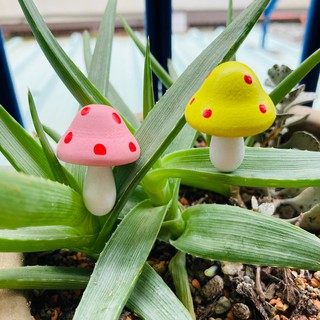Rainxpluie 知雨若泥 多肉植物花盆•盆栽組盆DIY•微景觀•生態瓶•鄉村風•園藝造景•小物 蘑菇精靈 大款