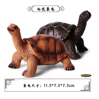 （實心高品質畫工） 象龜 巨型 烏龜 黃色 陸龜 龜 模型 模擬 動物模型 野生動物 兒童玩具 公仔 spg