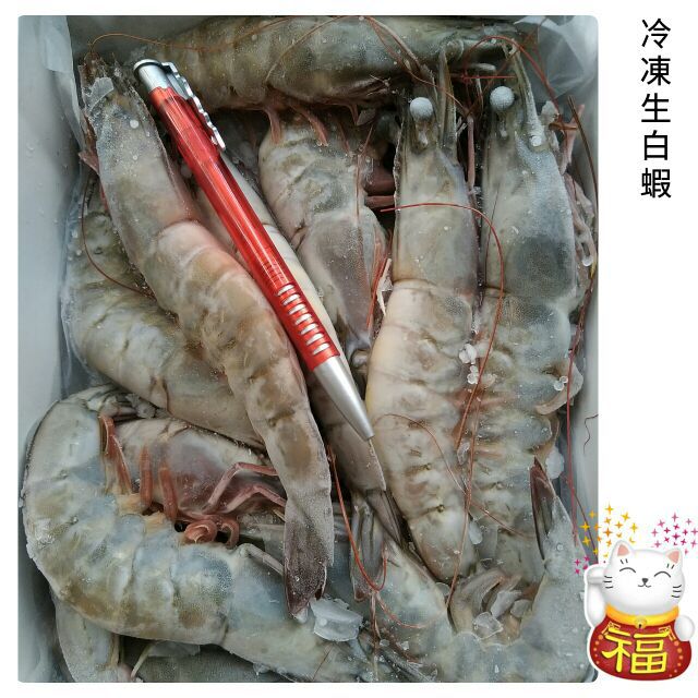 馬來西亞活凍白蝦16 20 21 25 700g 5 生凍白蝦烤肉 露營 蝦皮購物