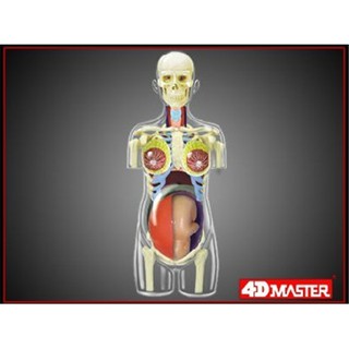 4D Master益智拼裝玩具人體懷孕妊娠器官解剖模型醫學教學DIY科普