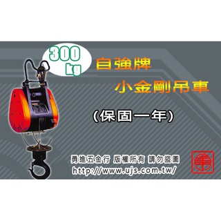 300kg電動吊車的價格推薦 21年11月 比價撿便宜