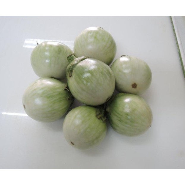 【大包裝蔬菜種子L159】 玉玲瓏圓茄~ 果實卵圓型，顏色白綠相間，萼片形狀漂亮