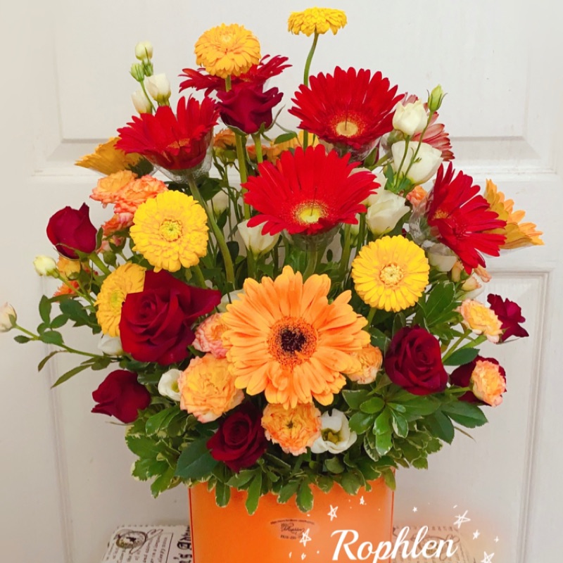 Rophlen 多肉療癒 多肉花圈課程 小 蝦皮購物