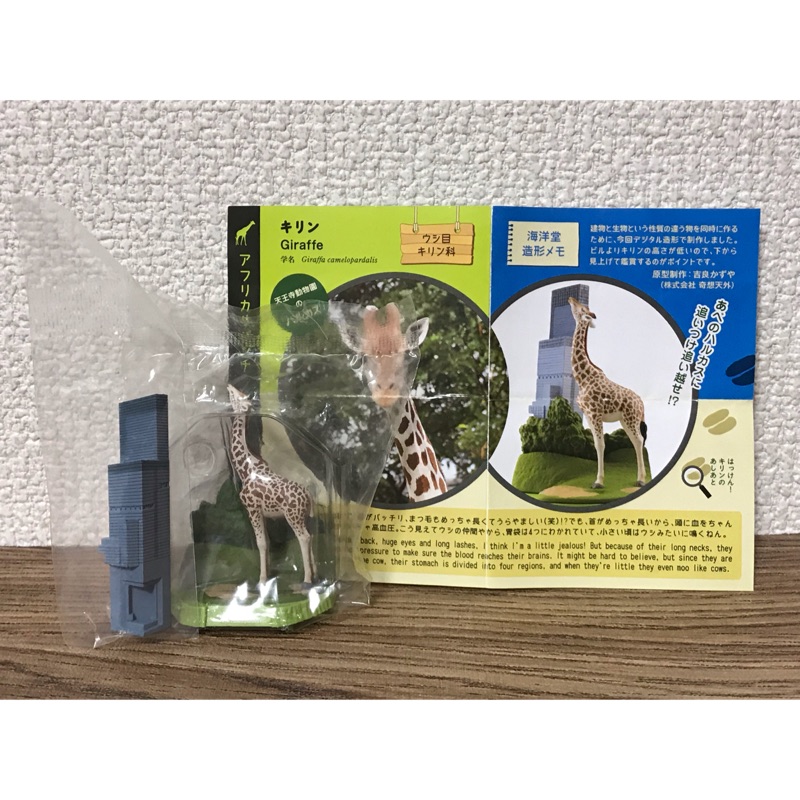 限andy 下標全新日本帶回大阪天王寺動物園限定擬真動物模型扭蛋轉蛋 蝦皮購物