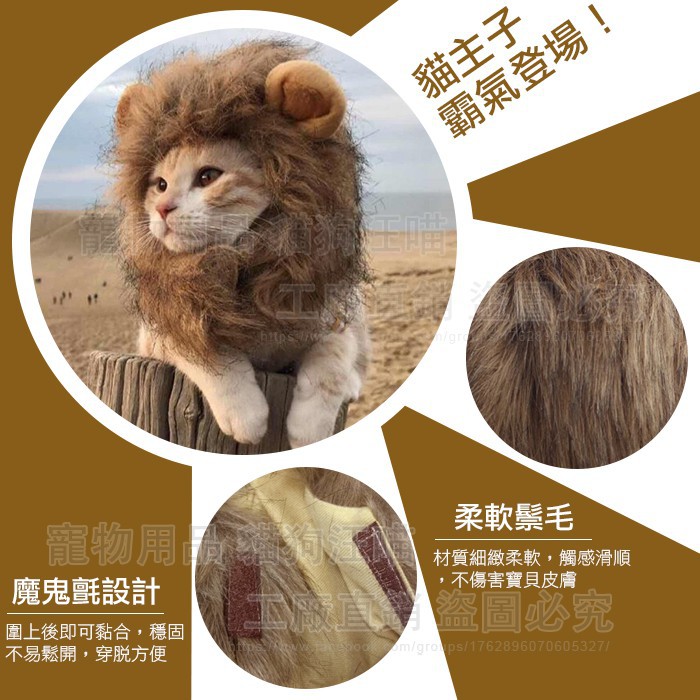 petlove寵物飾品 寵物獅子保暖頭套 獅子頭套 可愛造型頭套 寵物變身 寵物用品 寵物拍照 毛小孩 保暖 舒適 柔軟